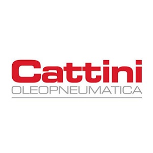 cattini